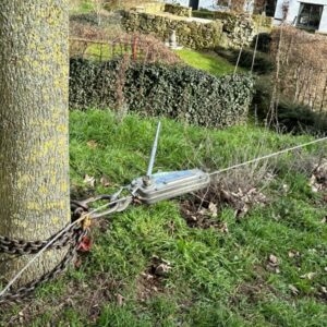 Abattage d'arbre