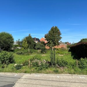 Nivellement et nettoyage de terrain